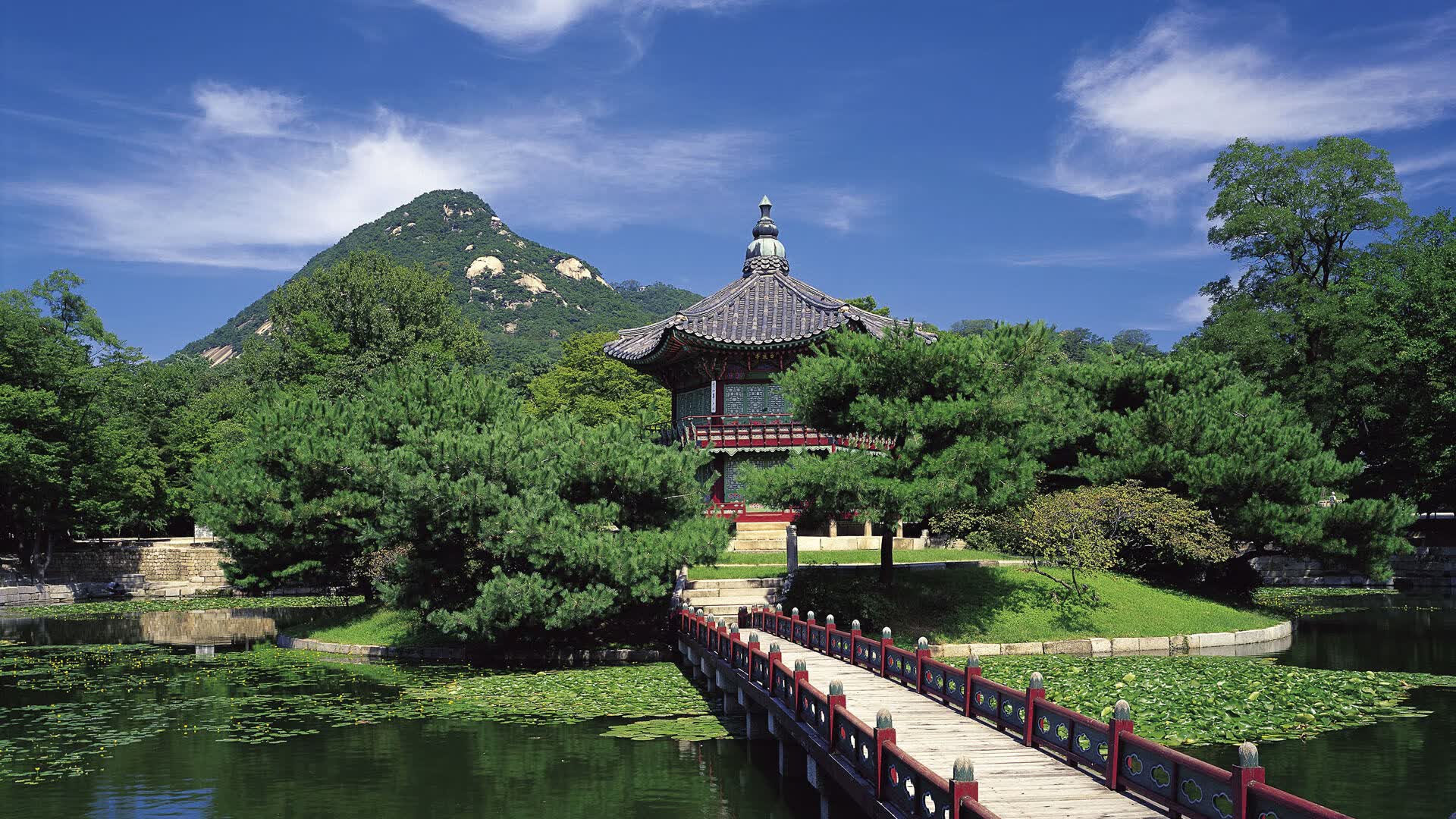 世界短道速滑教练能力认证第二十三期考试安排公布，短道速滑协会