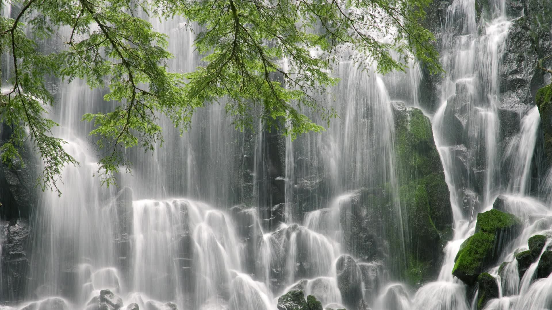 世界短道速滑青年赛赛场科技试验成果发表论文，短道速滑世界青年锦标赛